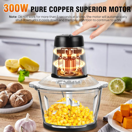 300W Fruit & Vegetable Chopper 2L Food Processor Small Meat Grinder Electric Dicer with 2 Speeds 4 Bi-Level Blades for Meat Fru